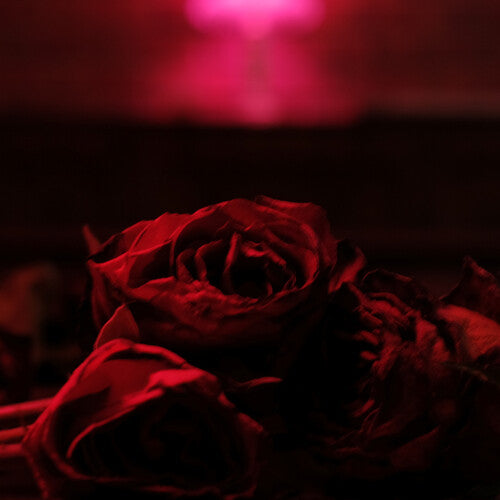 The Paper Kites: Roses ( Vinyl )