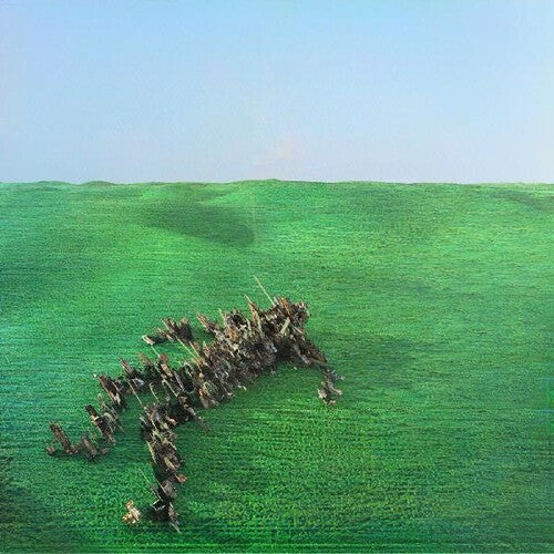 Squid: Bright Green Field ( Vinyl )