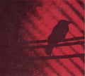 A Silver Mt. Zion: Born Into Trouble As the Sparks Fly Upward ( Vinyl )