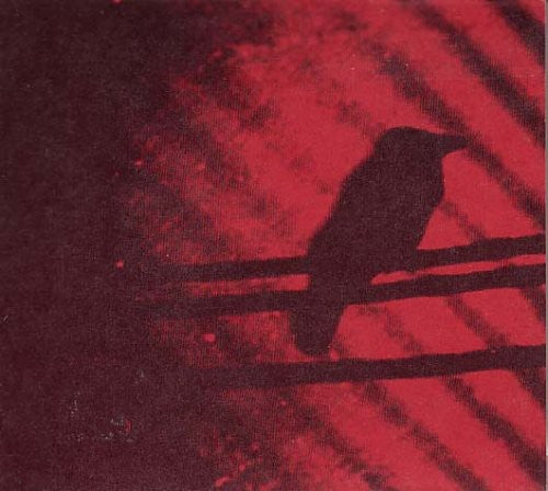 A Silver Mt. Zion: Born Into Trouble As the Sparks Fly Upward ( Vinyl )