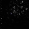 Crumb: Ice Melt ( Vinyl )