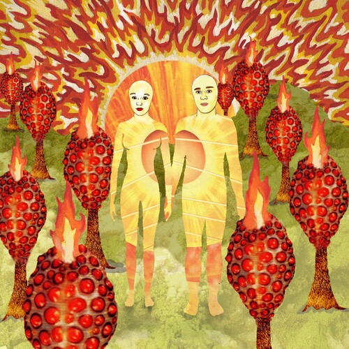 Of Montreal: The Sunlandic Twins ( Vinyl )