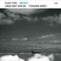 Vijay Iyer: UnEasy ( Vinyl )