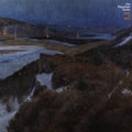 The Mountain Goats: Dark In Here ( Vinyl )