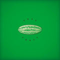 Spiritualized: Pure Phase ( Vinyl )