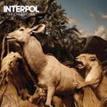 Interpol: Our Love To Admire ( Vinyl )