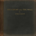 Joshua Radin: The Ghost And The Wall ( Vinyl )