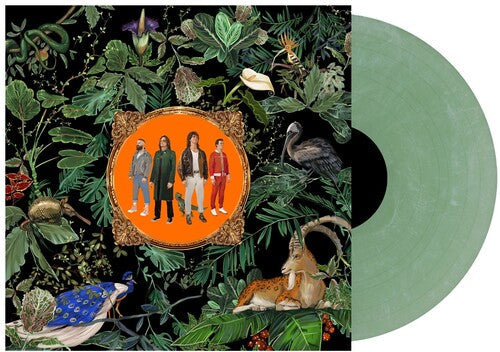 Don Broco: Amazing Things - Green Marble ( Vinyl )