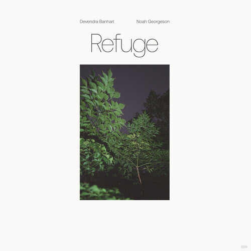 Devendra Banhart: Refuge (Blue Seaglass Wave Translucent Vinyl) ( Vinyl )