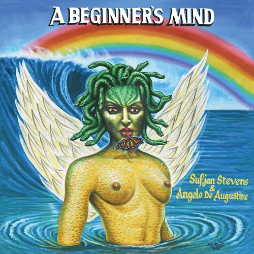 Sufjan Stevens: A Beginner's Mind ( Vinyl )