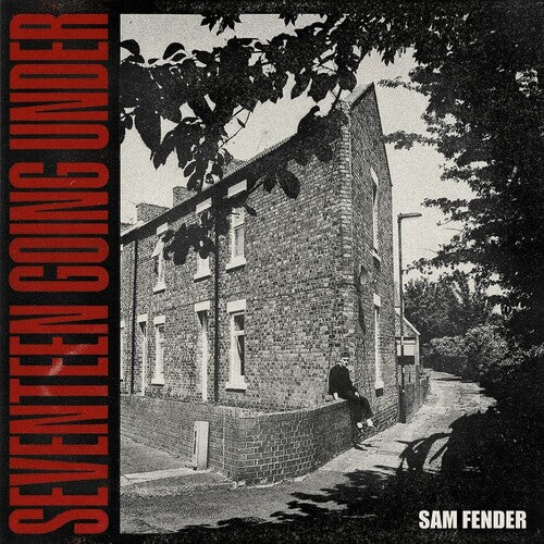 Sam Fender: Seventeen Going ( Vinyl )