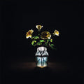 Billy Strings: Renewal ( Vinyl )