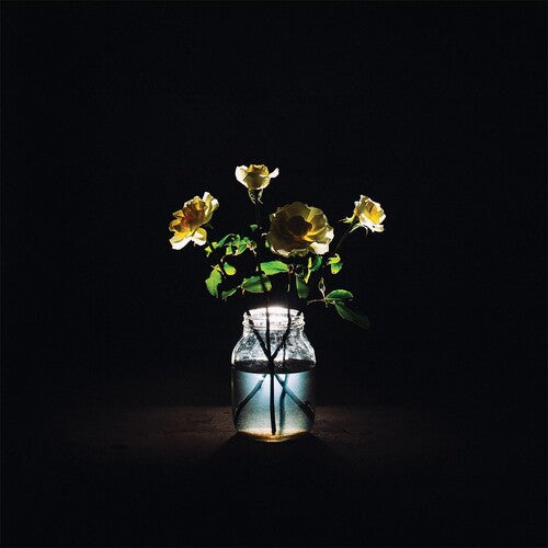 Billy Strings: Renewal ( Vinyl )