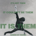 Guided by Voices: It's Not Them. It Couldn't Be Them. It Is Them! ( Vinyl )