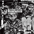 Pinhead Gunpowder: Carry the Banner ( Vinyl )