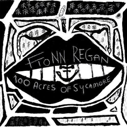 Fionn Regan: 100 Acres Of Sycamore ( Vinyl )