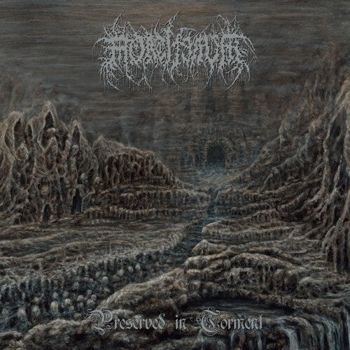 Mortiferum: Preserved In Torment ( Vinyl )