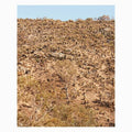 Andrew Pekler: Palimpsests ( Vinyl )