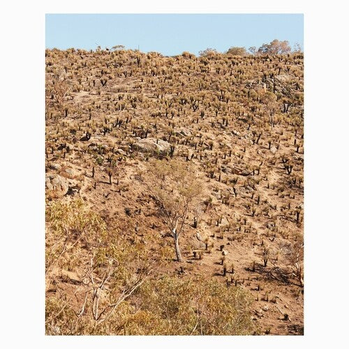 Andrew Pekler: Palimpsests ( Vinyl )