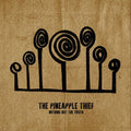 Pineapple Thief: Nothing But The Truth ( Vinyl )