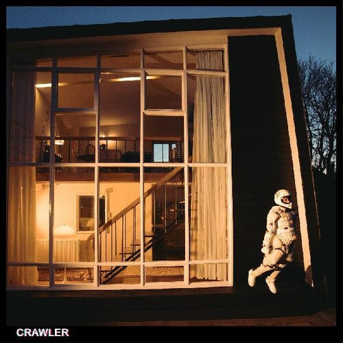 Idles: Crawler ( Vinyl )