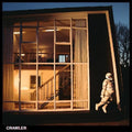 Idles: Crawler ( Vinyl )