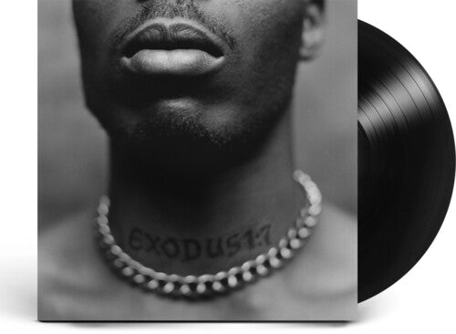 DMX: Exodus ( Vinyl )