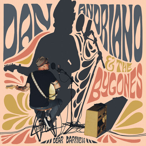 Dan Andriano: Dear Darkness ( Vinyl )