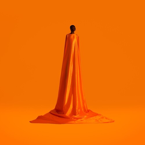 Wayne Snow: Figurine ( Vinyl )