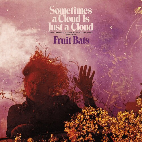 Fruit Bats: Sometimes a Cloud Is Just a Cloud: Slow Growers, Sleeper Hits and Lost Songs (2001–2021) ( Vinyl )