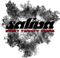Saliva: Every Twenty Years ( Vinyl )