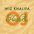 Wiz Khalifa: Kush & Orange Juice ( Vinyl )