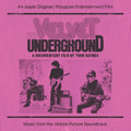 The Velvet Underground: The Velvet Underground: A Documentary Film By Todd Haynes ( Vinyl )