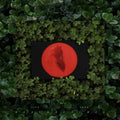 Moses Sumney: Live From Blackalachia (Clear Green) ( Vinyl )