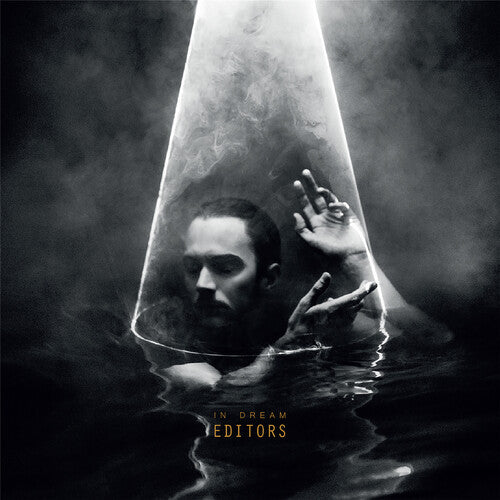 Editors: In Dream ( Vinyl )