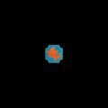 Chicago: Chicago Transit Authority ( Vinyl )