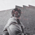 Aldous Harding: Warm Chris ( Vinyl )