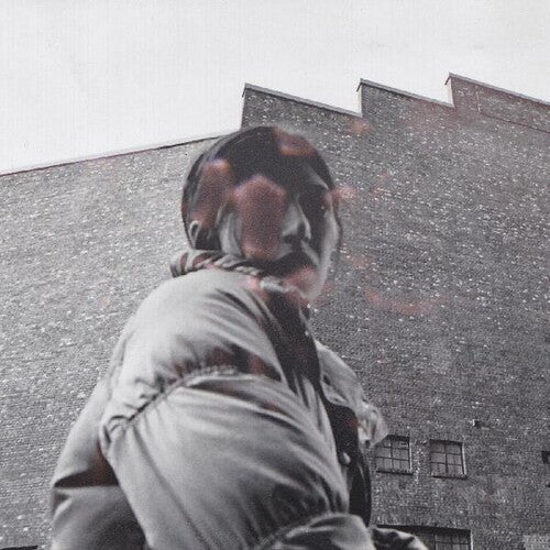 Aldous Harding: Warm Chris ( Vinyl )