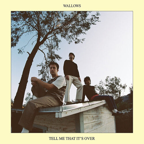 Wallows: Tell Me That It's Over ( Vinyl )