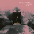 Invent Animate: Greyview ( Vinyl )