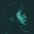 Ledisi: Ledisi Sings Nina ( Vinyl )