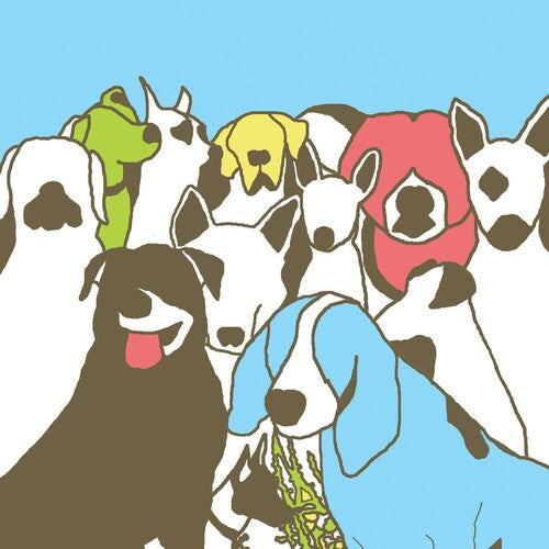 The Format: Dog Problems ( Vinyl )