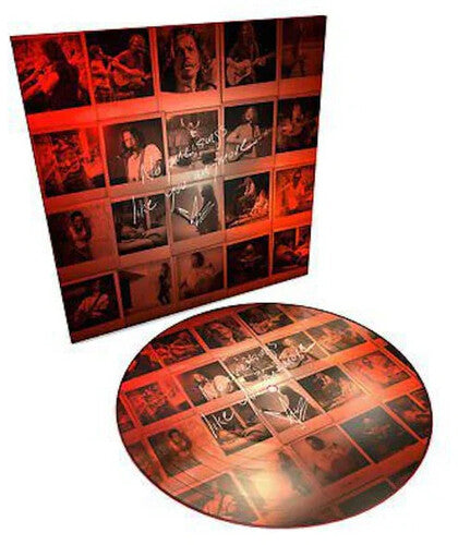 Chris Cornell: No One Sings Like You Anymore ( Vinyl )