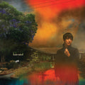 Sharon Van Etten: We've Been Going About This All Wrong ( Vinyl )