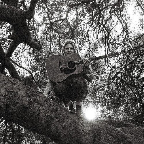 Ty Segall: Hello Hi ( Vinyl )