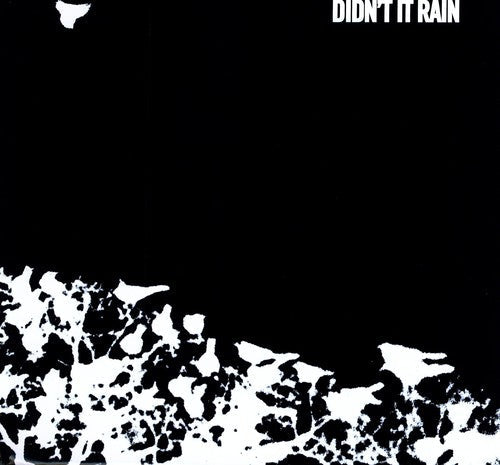 Songs: Ohia: Didn't It Rain ( Vinyl )