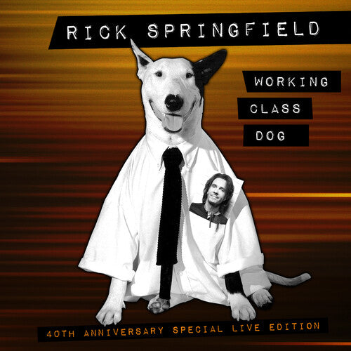 Rick Springfield: Working Class Dog (40th Anniversary Special Live Edition) ( Vinyl )