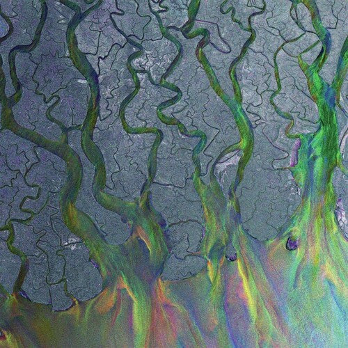 Alt-J: Awesome Wave ( Vinyl )