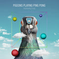 Pigeons Playing Ping Pong: Perspective ( Vinyl )