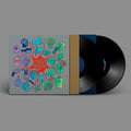 Los Punsetes: Espana Necesita Conocer ( Vinyl )